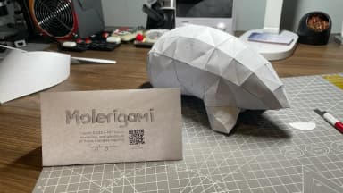 Molerigami